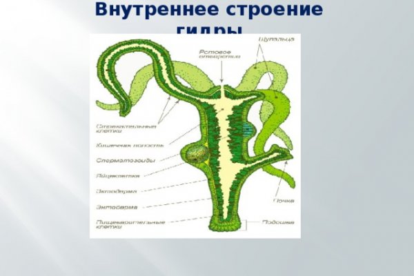 Кракен современный маркет